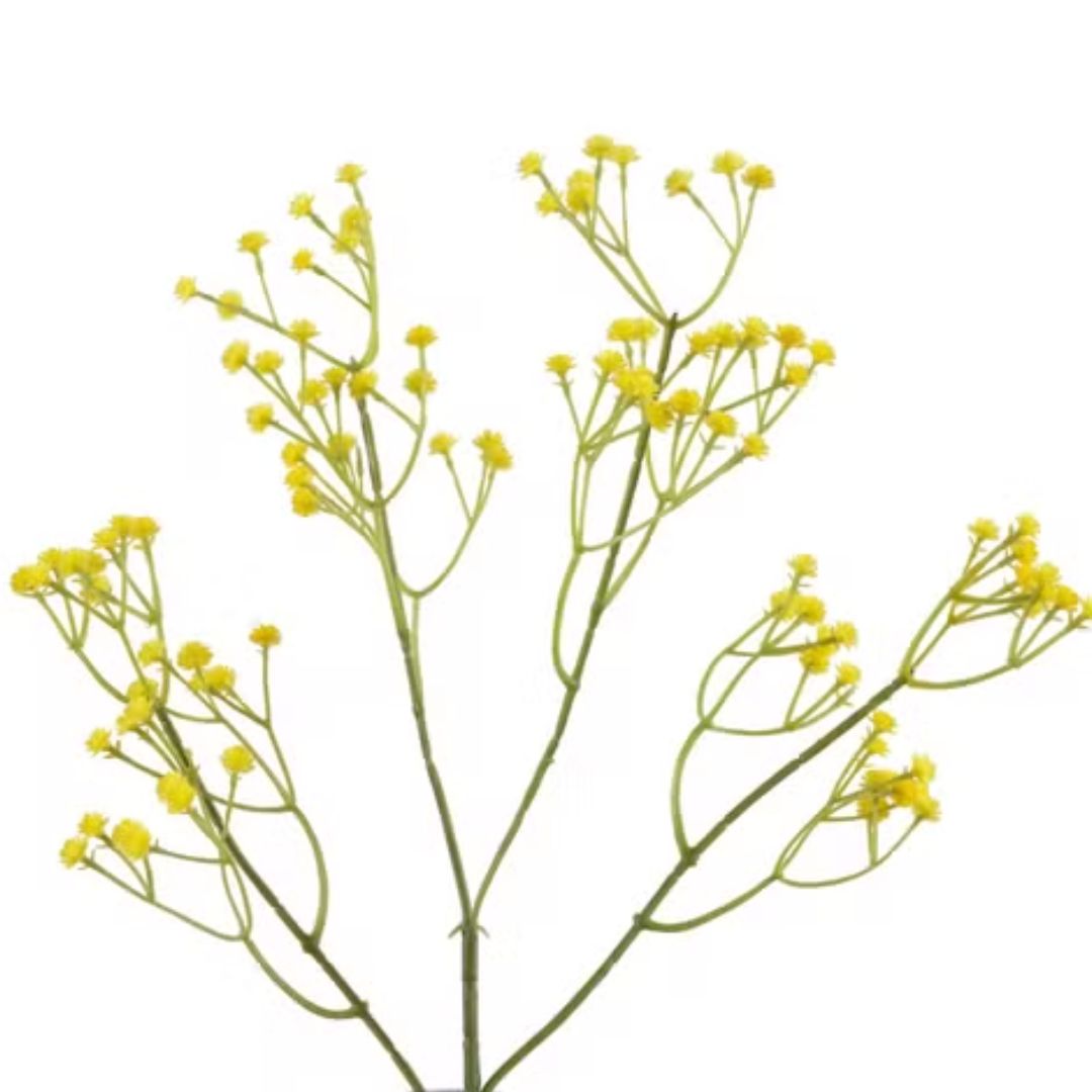 Baby Breath Hair Pins 5