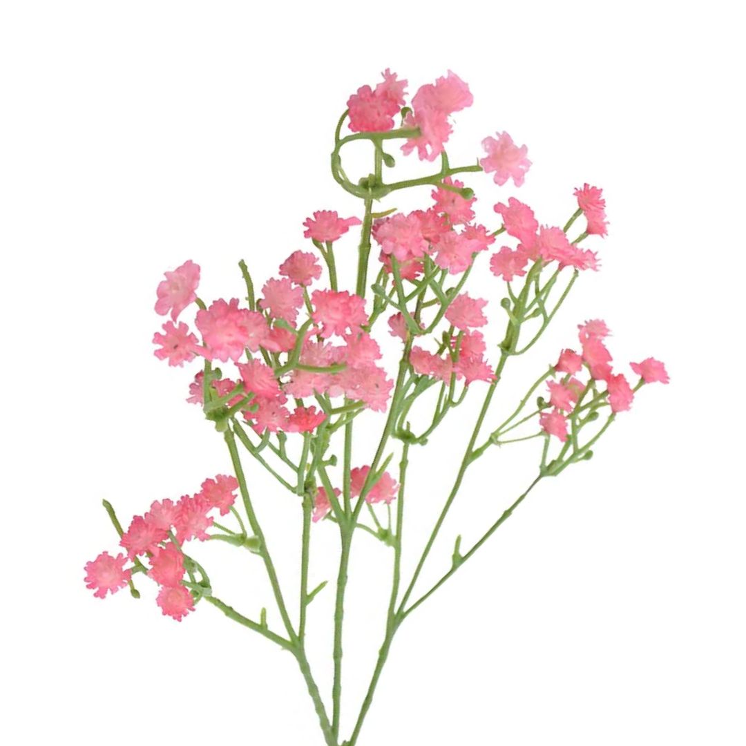 Baby Breath Hair Pins 5