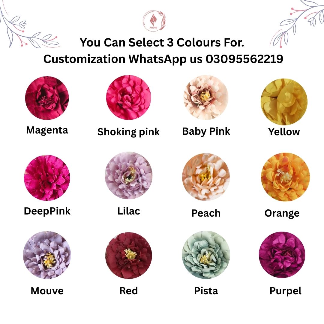 Latkan Set - 12 Colors