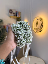 Baby breath Gajry Pair